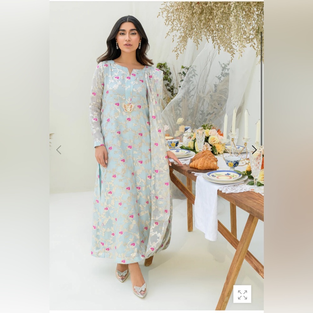 Renee by Zunira Teli draped shirt dupatta